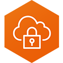 AWS Client VPN icon