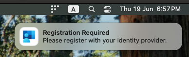 Entra ID Platform SSO notification
